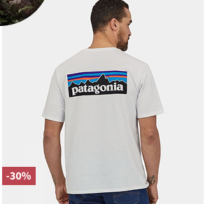 Patagonia Mens P6 T-Shirt