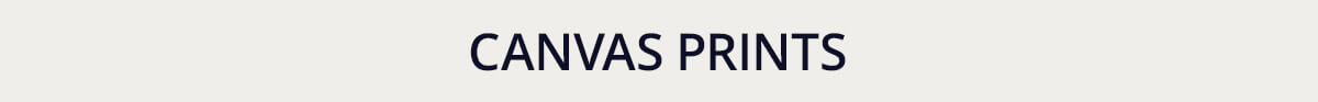 Canvas Prints