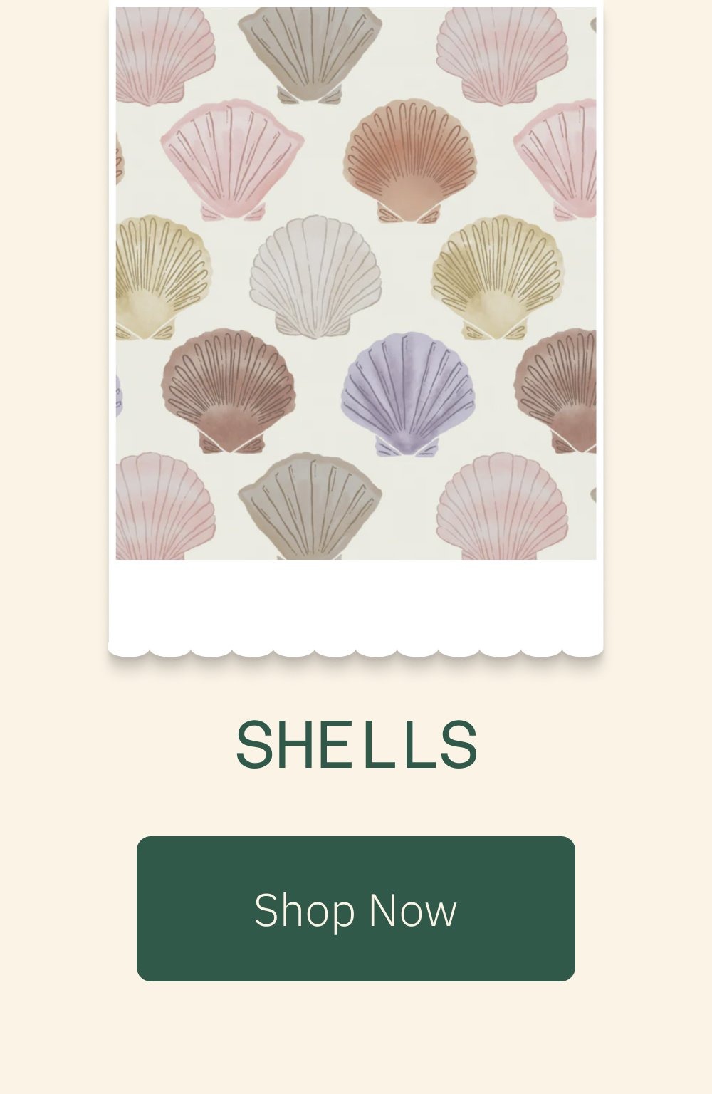 Shells Shop Now