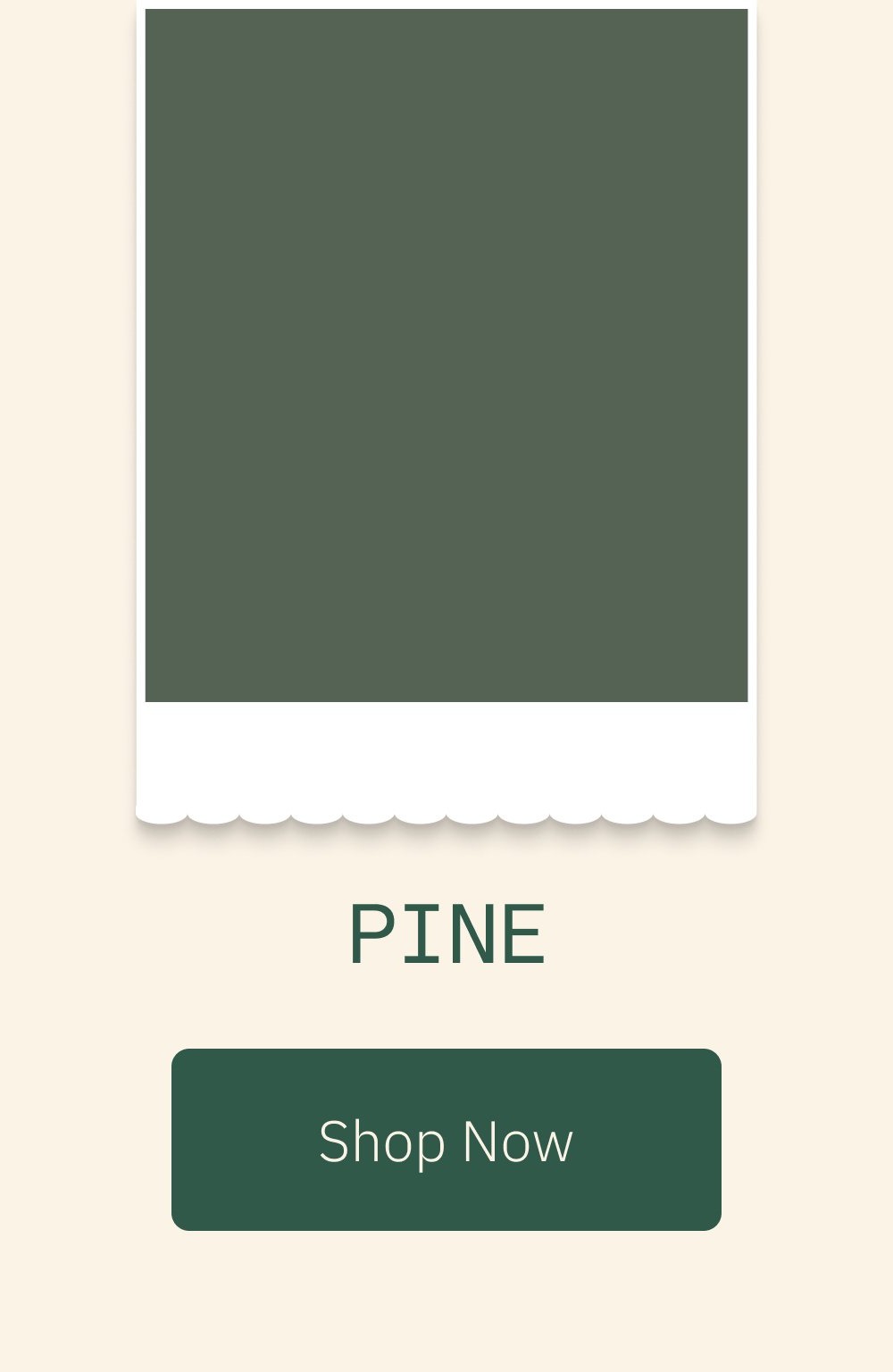 Pine Shop Now