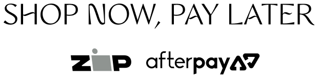 SHOP NOW, PAY LATER