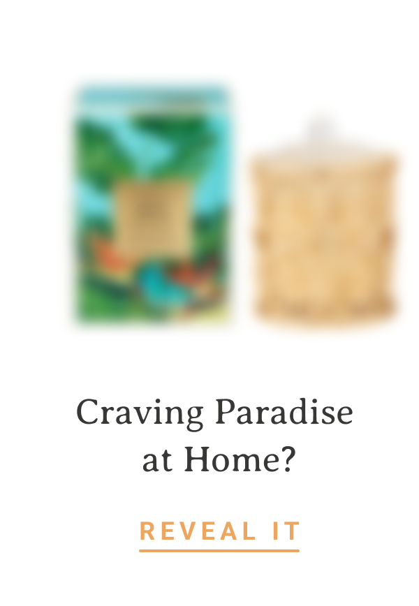 Craving Paradise at Home? | REVEAL IT