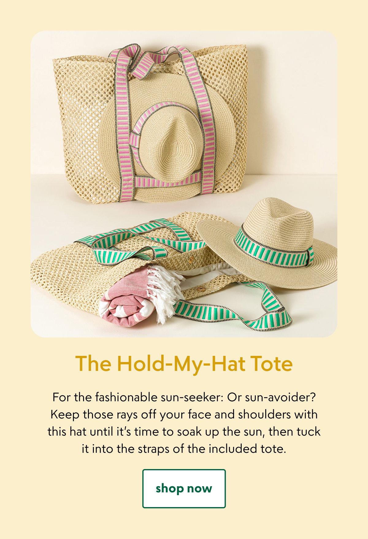 the-hold-my-hat-tote