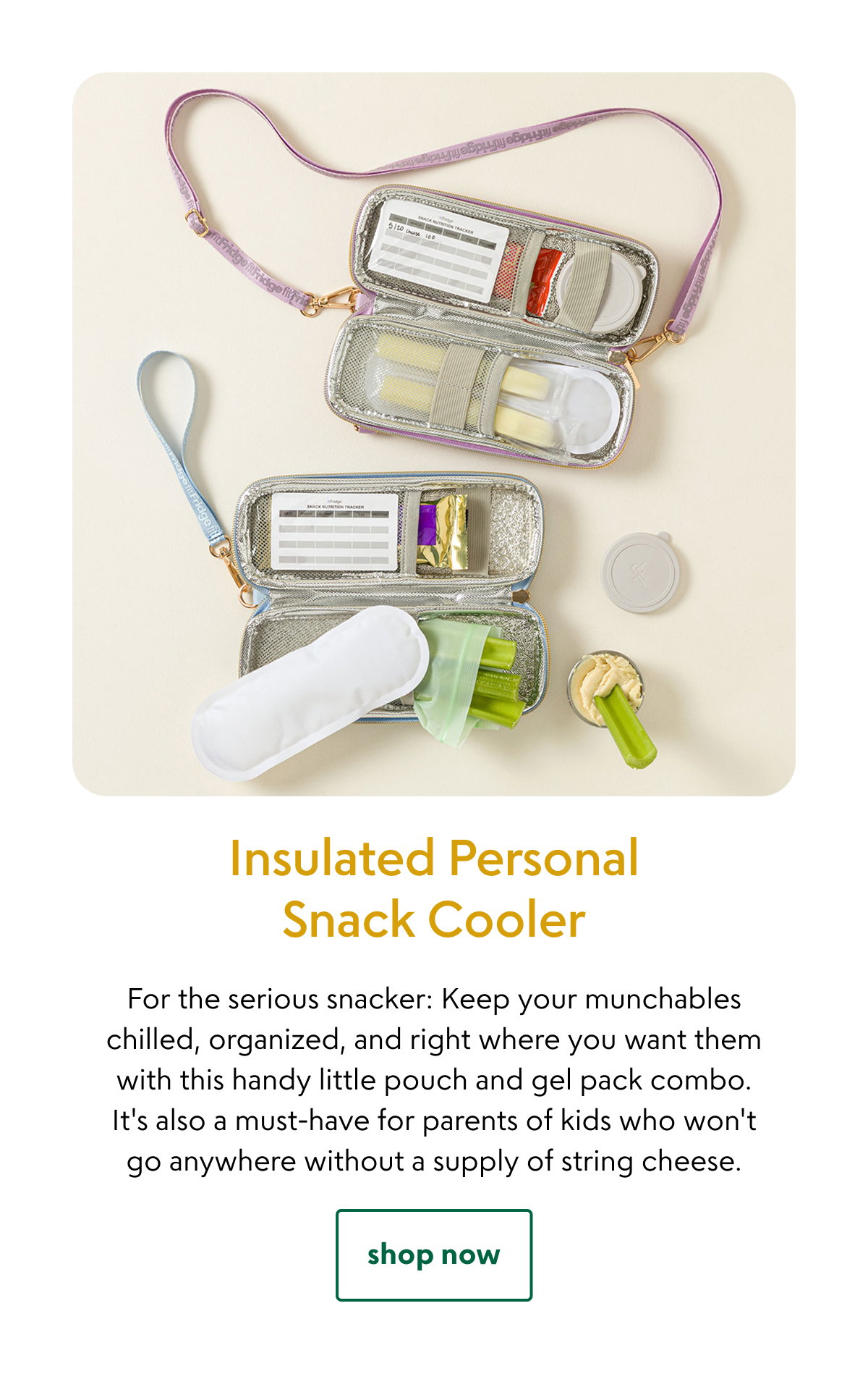 insulated-personal-snack-cooler