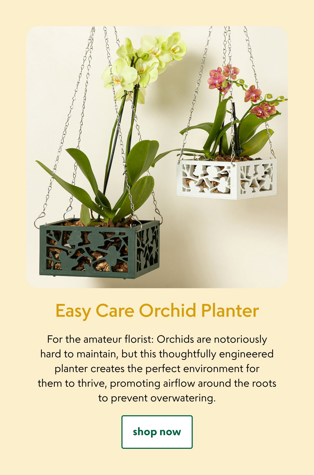 easy-care-orchid-planter