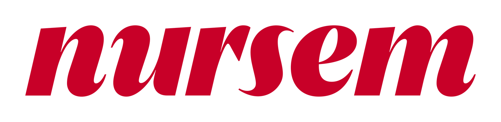 Nursem Logo