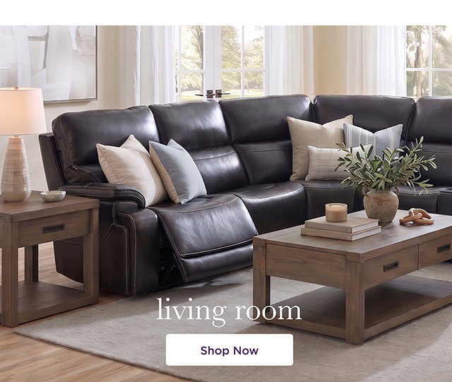 Living Room - Shop Now