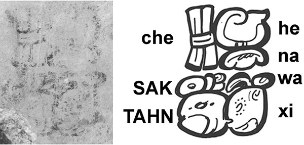 A black and white photo of a faded hieroglyph on a wall in a Maya site (left) and a digital recreation of the complete glyph annotated with a translation that reveals the author’s name: Sak Tahn Waax (right).
