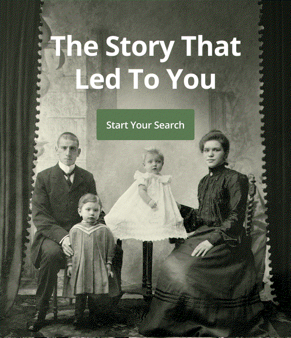 The Story That Led To You