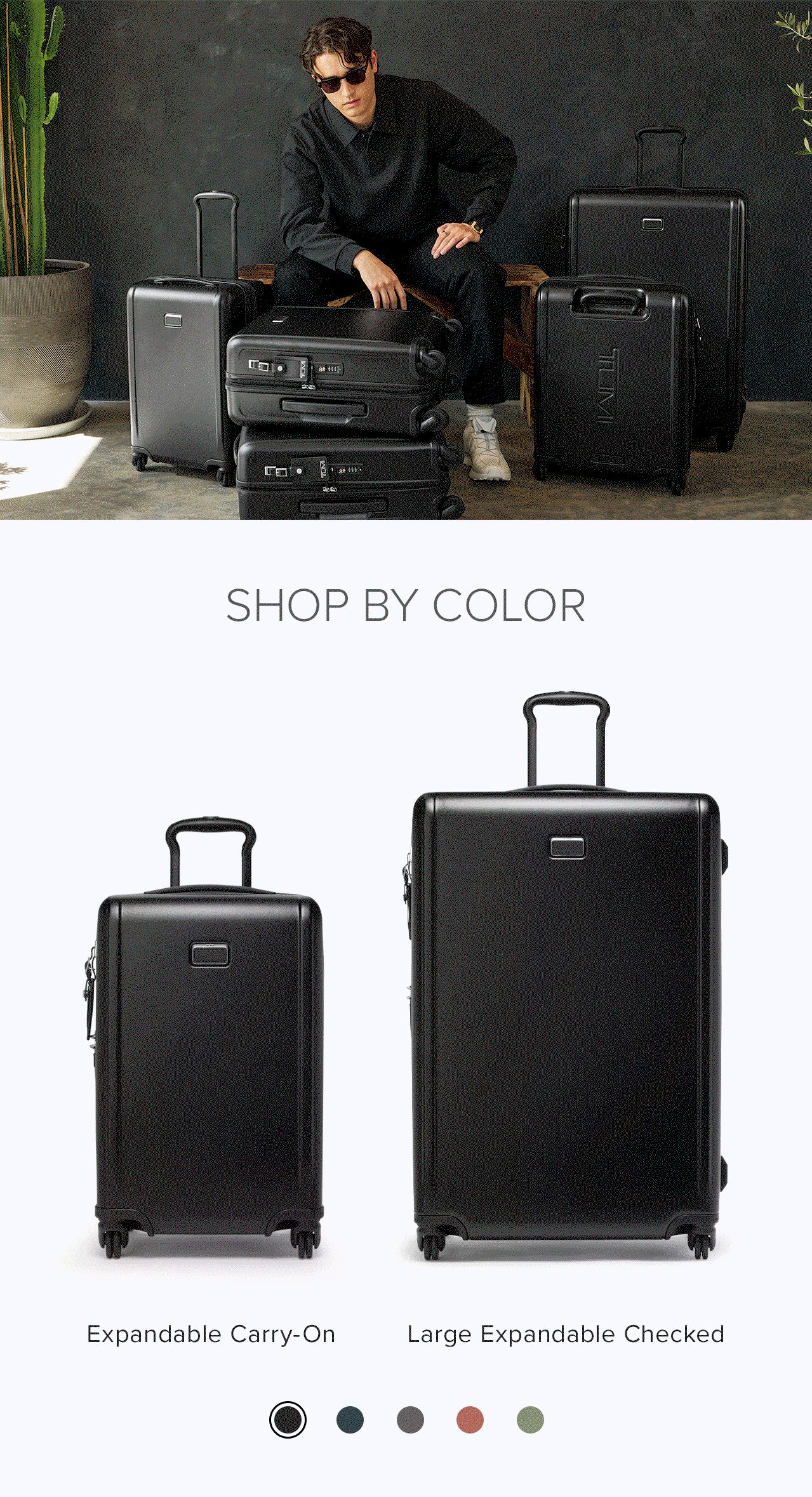 FIVE COLORS - SHOP BY COLOR