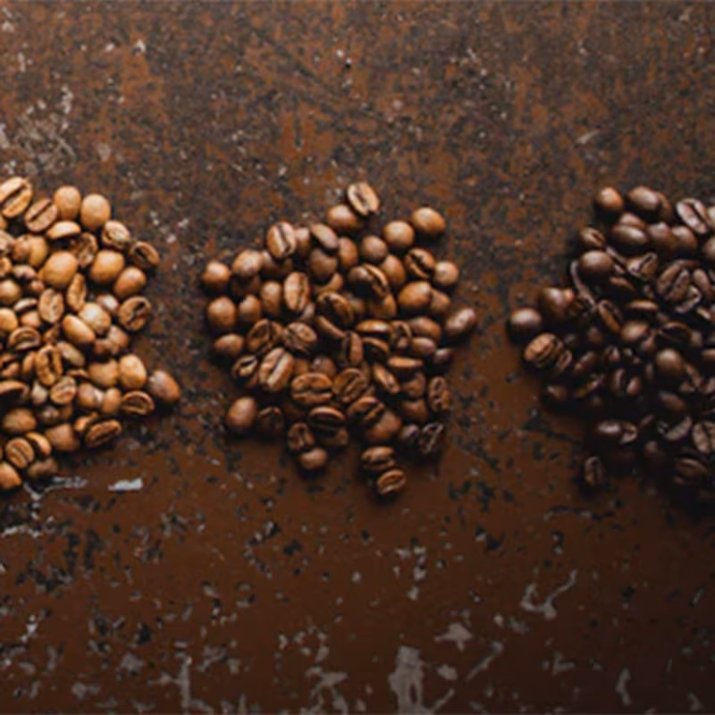 Light, medium, and dark roast whole coffee beans
