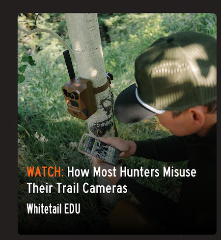How most hunters misuse Their Trail Cameras
