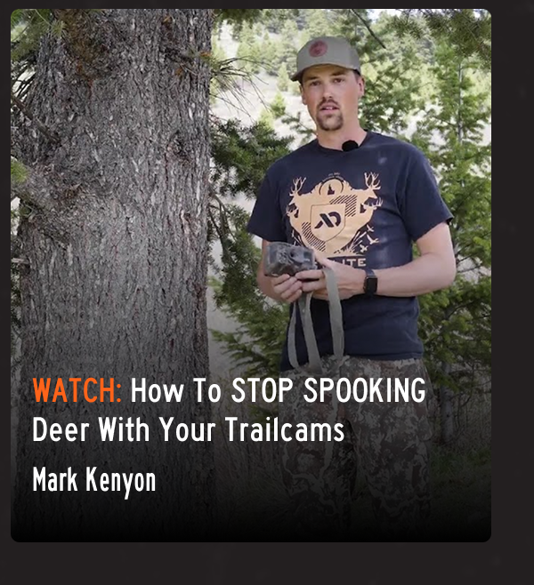How to Stop spooking deer with your Trailcams