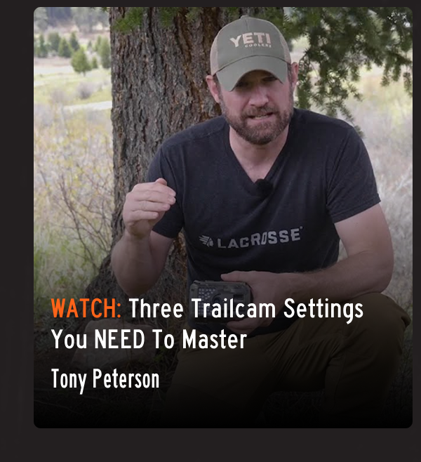 Three trailcam setting your NEED to master