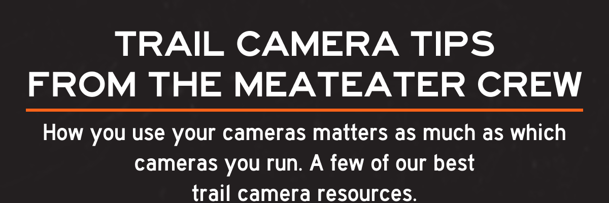 Trail Camera Tips from the MeatEater Crew