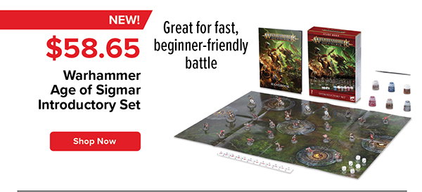 Warhammer Age of Sigmar Introductory Set