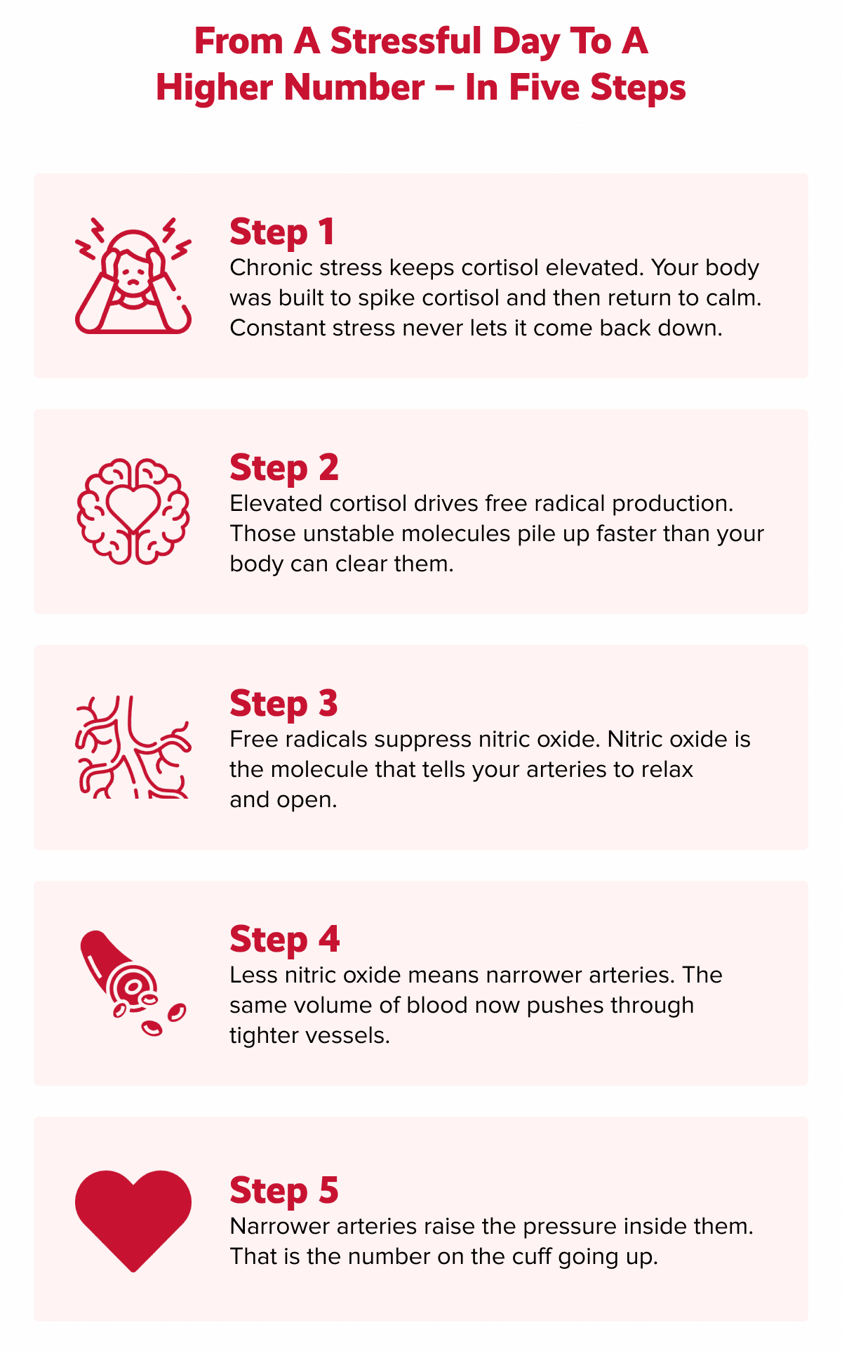 From a stressful day to a higher number – in five steps | Step 1 | Chronic stress keeps cortisol elevated. Your body was built to spike cortisol and then return to calm. Constant stress never lets it come back down. | Step 2 | Elevated cortisol drives free radical production. Those unstable molecules pile up faster than your body can clear them. | Step 3 | Free radicals suppress nitric oxide. Nitric oxide is the molecule that tells your arteries to relax and open. | Step 4 | Less nitric oxide means narrower arteries. The same volume of blood now pushes through tighter vessels. | Step 5 | Narrower arteries raise the pressure inside them. That is the number on the cuff going up.
