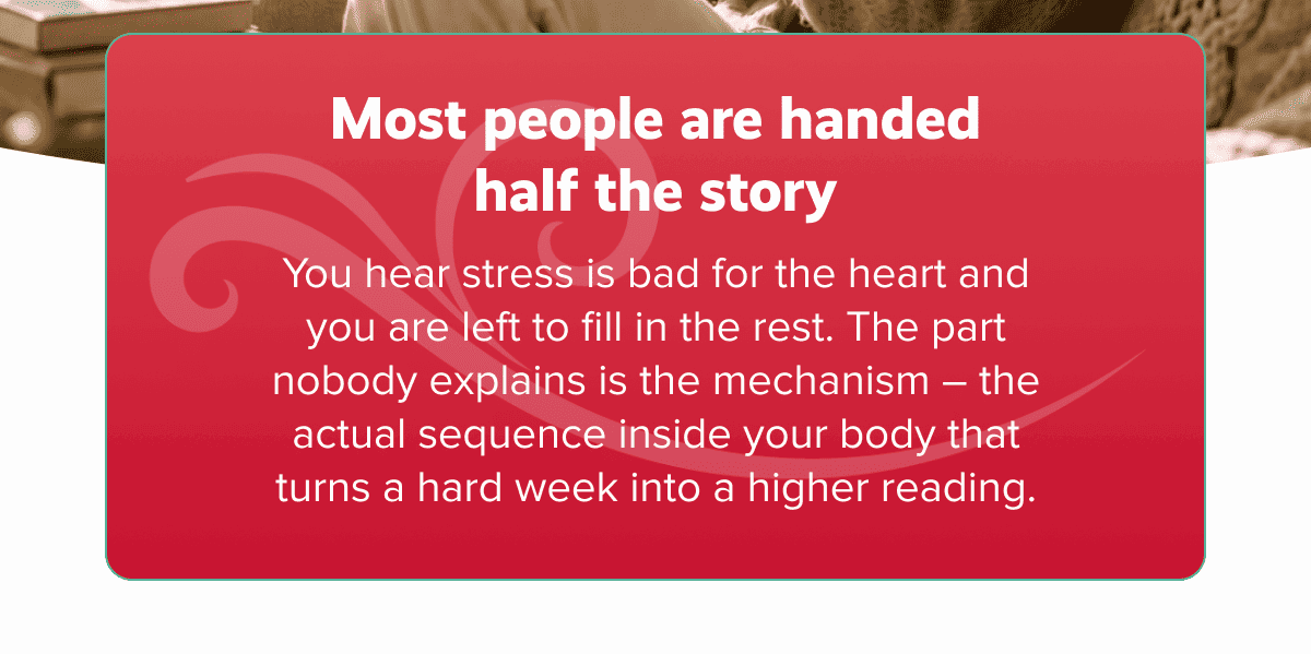 Most people are handed half the story | You hear stress is bad for the heart and you are left to fill in the rest. The part nobody explains is the mechanism – the actual sequence inside your body that turns a hard week into a higher reading.