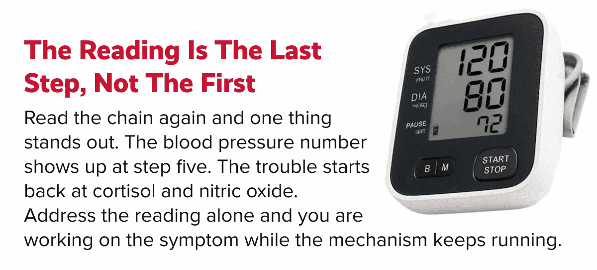 The reading is the last step, not the first | Read the chain again and one thing stands out. The blood pressure number shows up at step five. The trouble starts back at cortisol and nitric oxide. Address the reading alone and you are