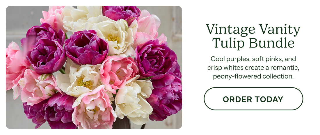 Vintage Vanity Tulip Bundle
