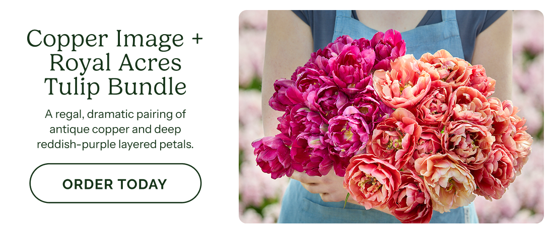 Copper Image + Royal Acres Tulip Bundle