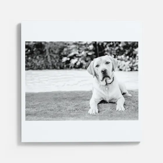 Photo Tiles