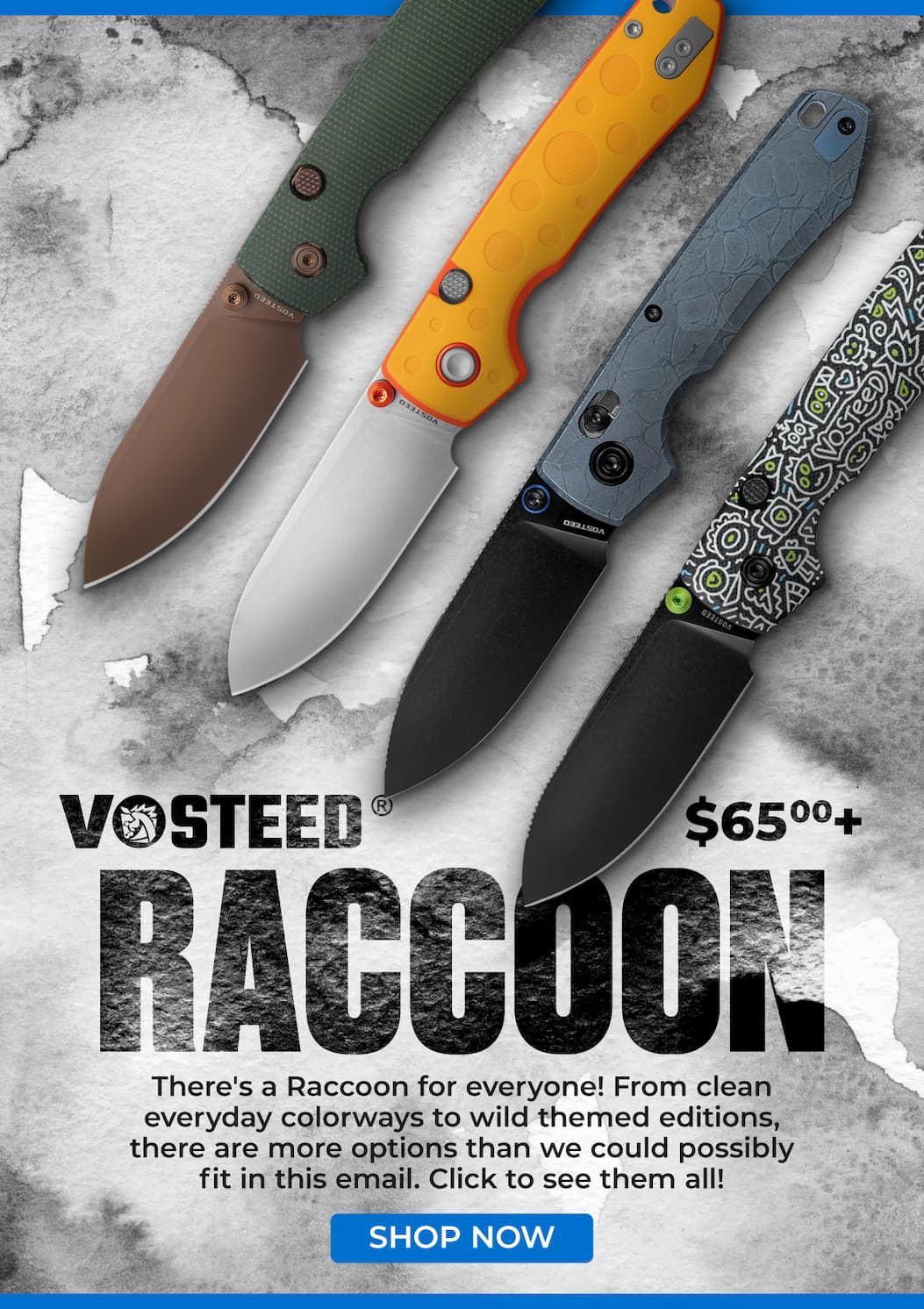 Vosteed Raccoon
