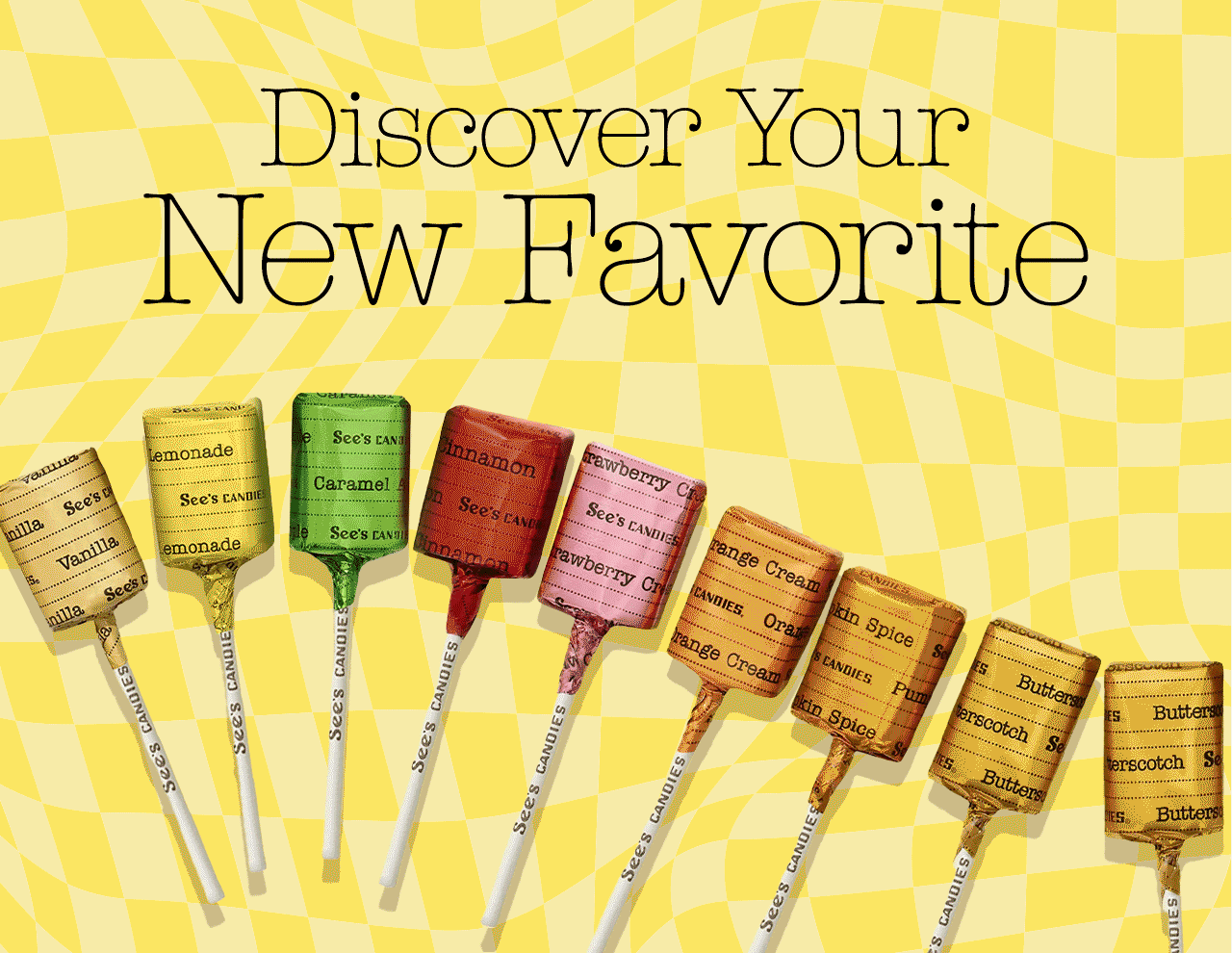 Discover Your New Favorite