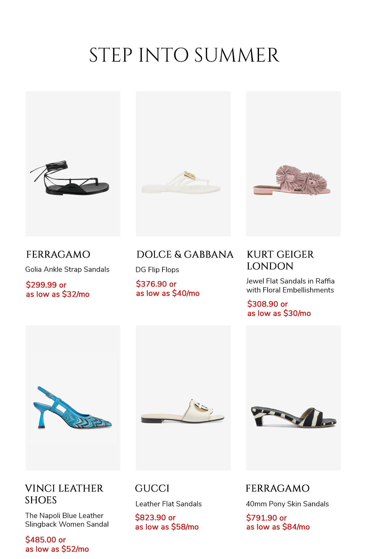 Shop Now