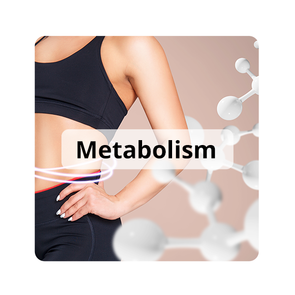 Metabolism