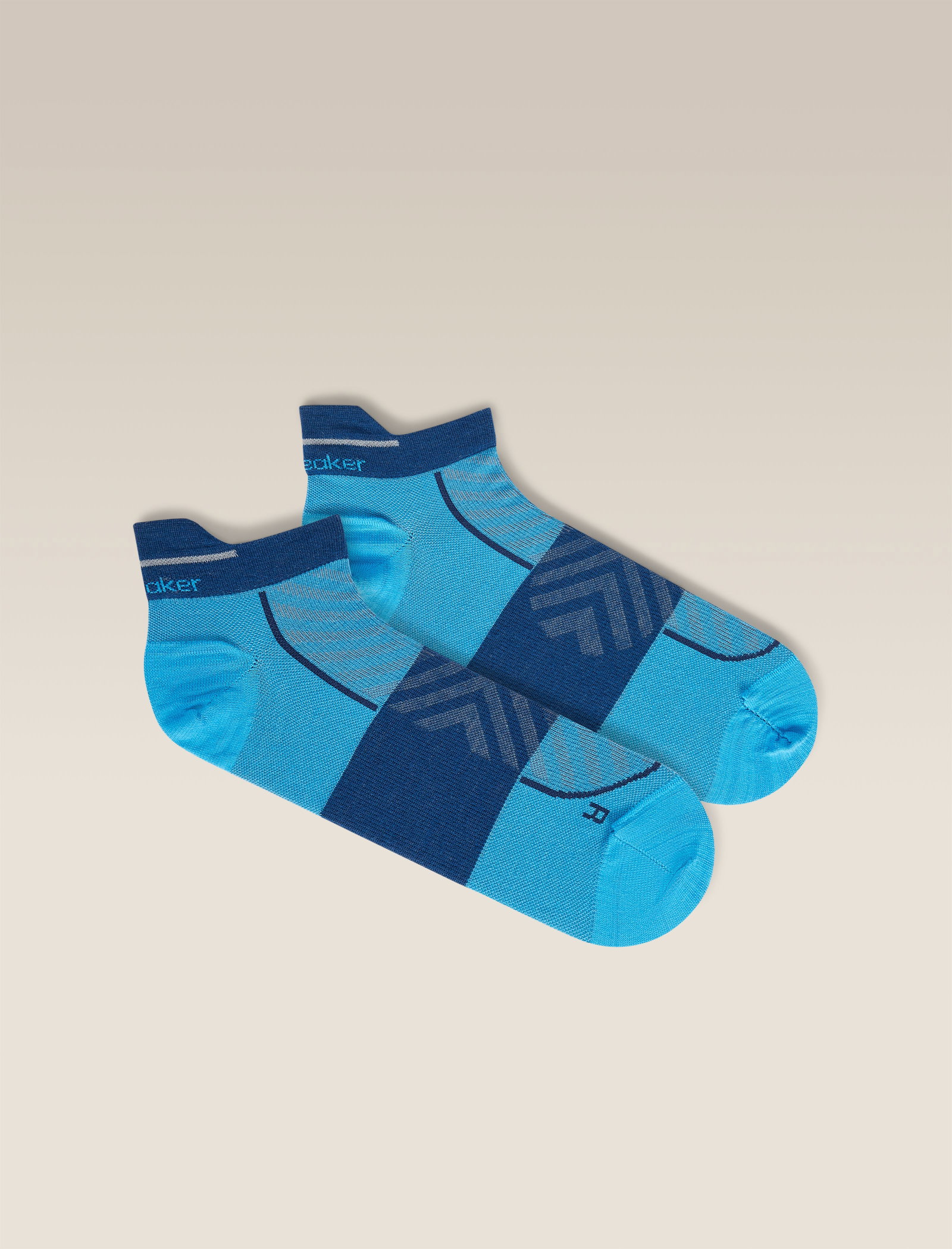 Men's Merino Blend Run+ Ultralight Micro Socks - Arctic/Atlantis / S