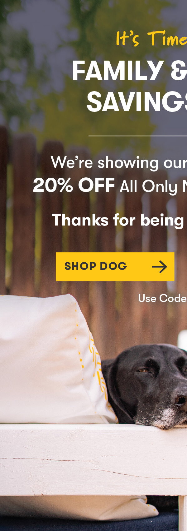 SHOP DOG