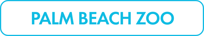 Rectangular banner featuring the words PALM BEACH ZOO in bold turquoise capital letters. The text is centered on a white background with rounded corners. A matching turquoise border frames the entire graphic. The simple design emphasizes clarity and easy readability for signage or digital use.