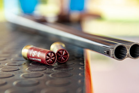 Target Shotshells