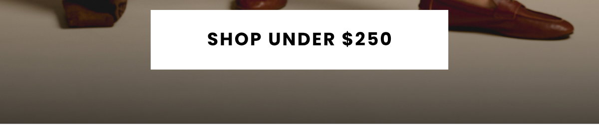 SHOP UNDER $250