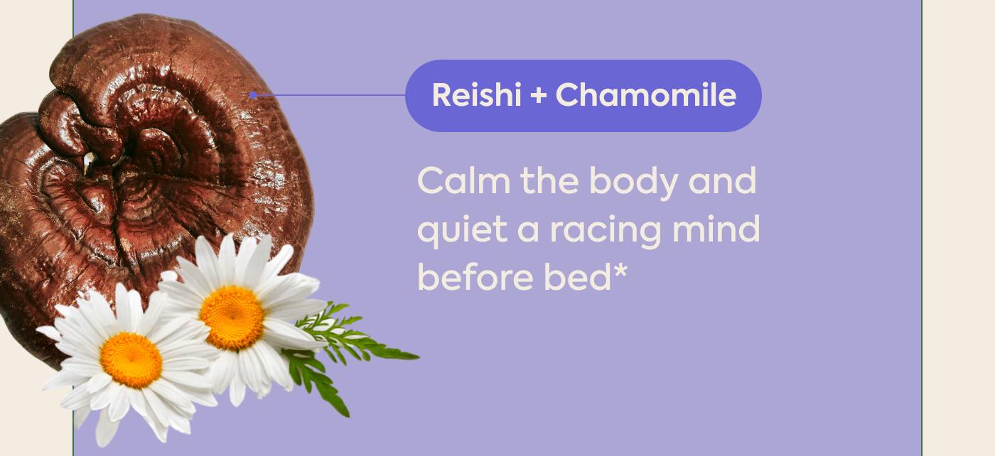 Reishi + Chamomile Calm the body and quiet a racing mind before bed*