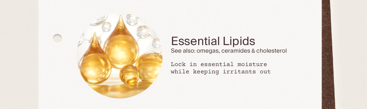 Essential Lipids
