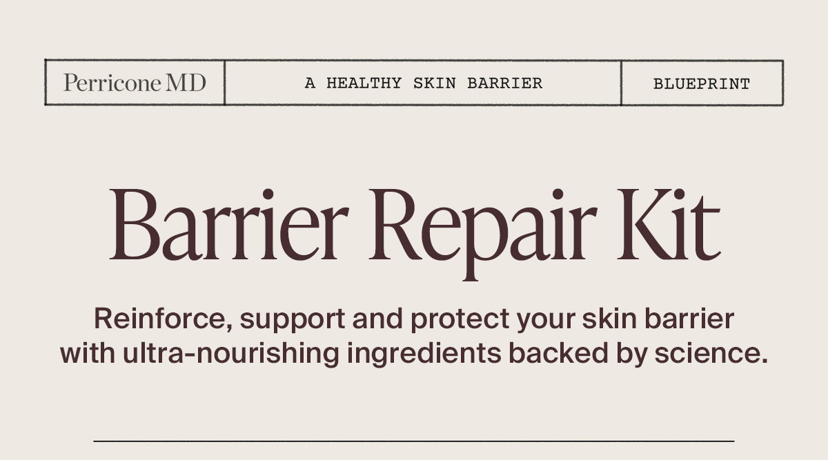 Barrier Repair Kit