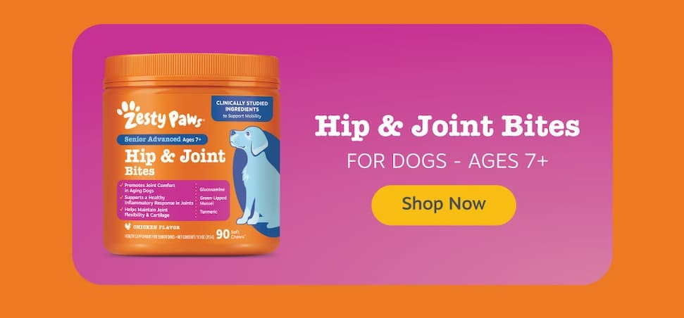 Senior Hip & Joint Bites for Dogs Ages 7+: Shop Now