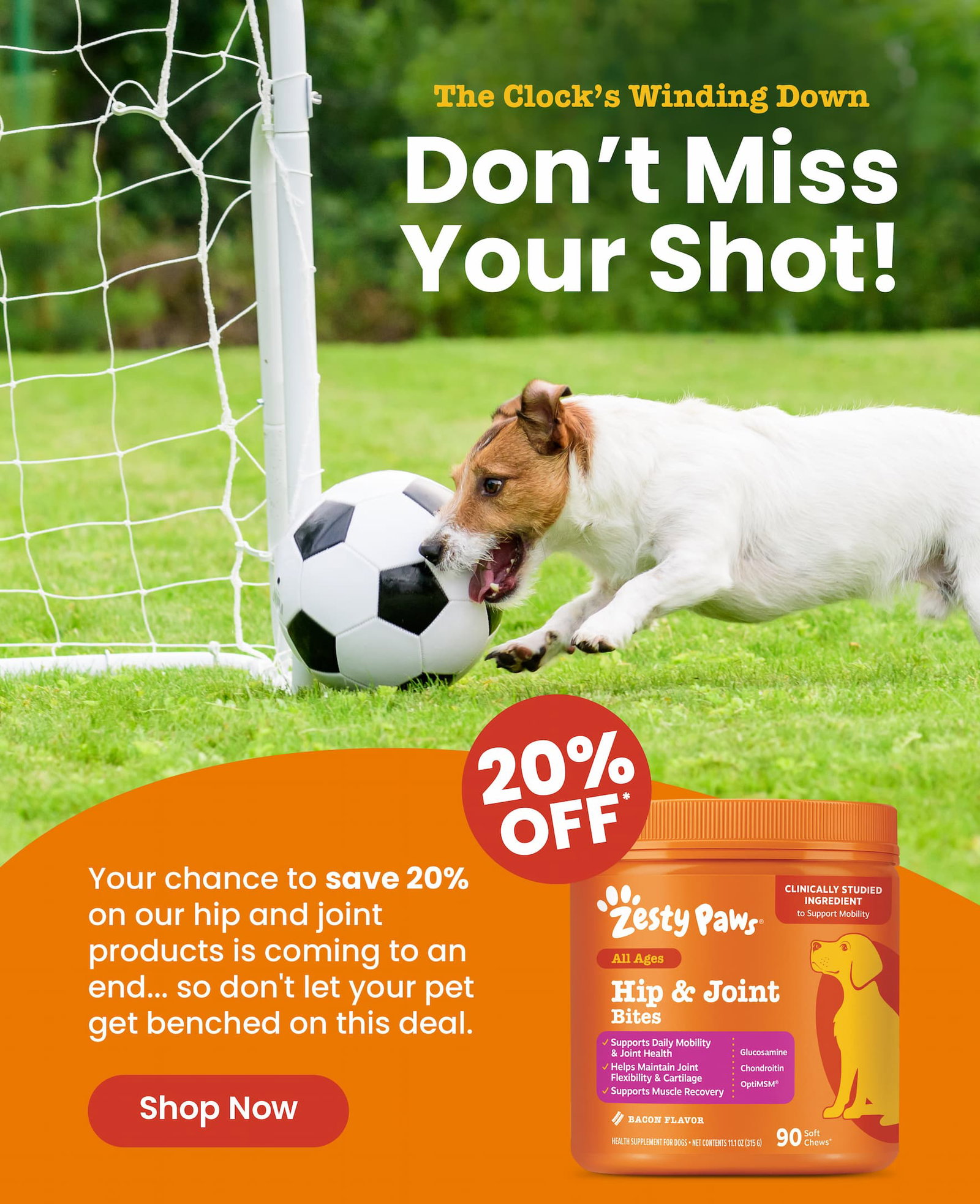 The clock's winding down: don't miss your shot! Your chance to save 20% on our Hip & Joint collection is coming to an end. Shop now!