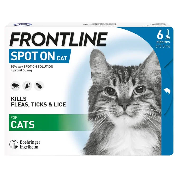 Image of Frontline