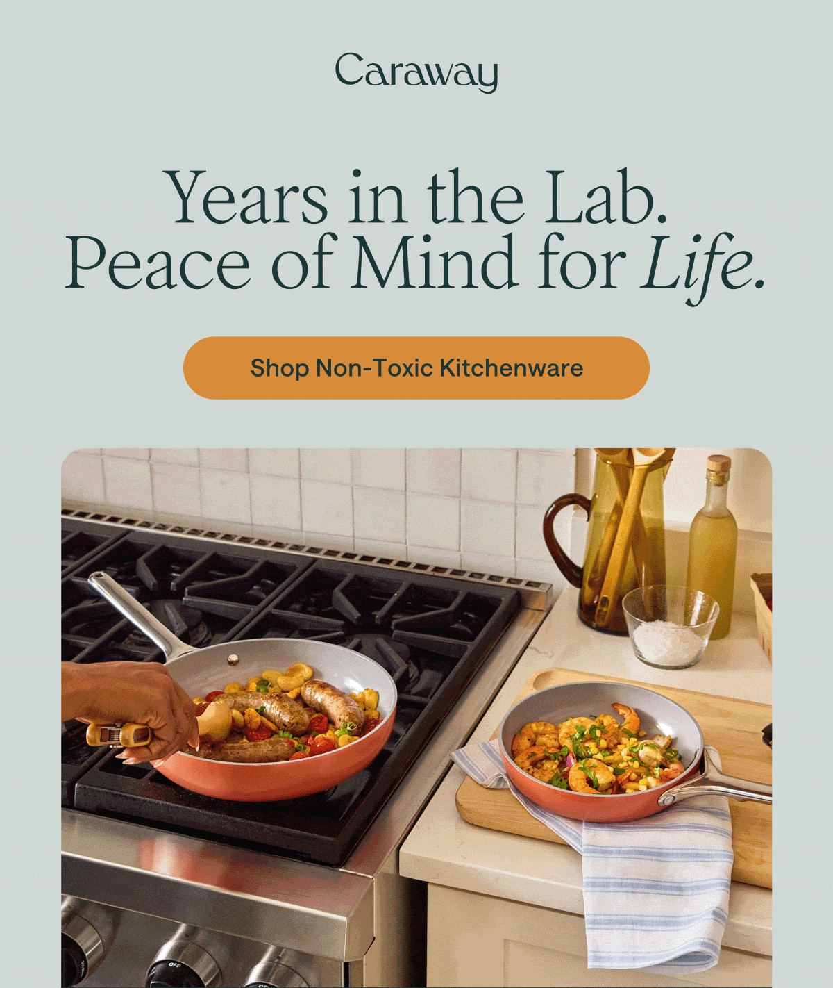 Years in the Lab. Peace of Mind for Life. Shop Non-Toxic Kitchenware
