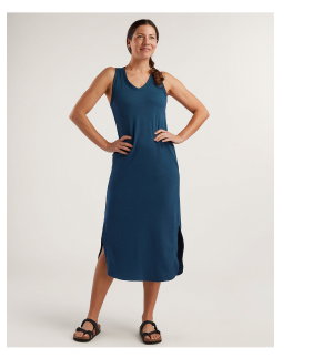 Shop the Danvers Midi Dress