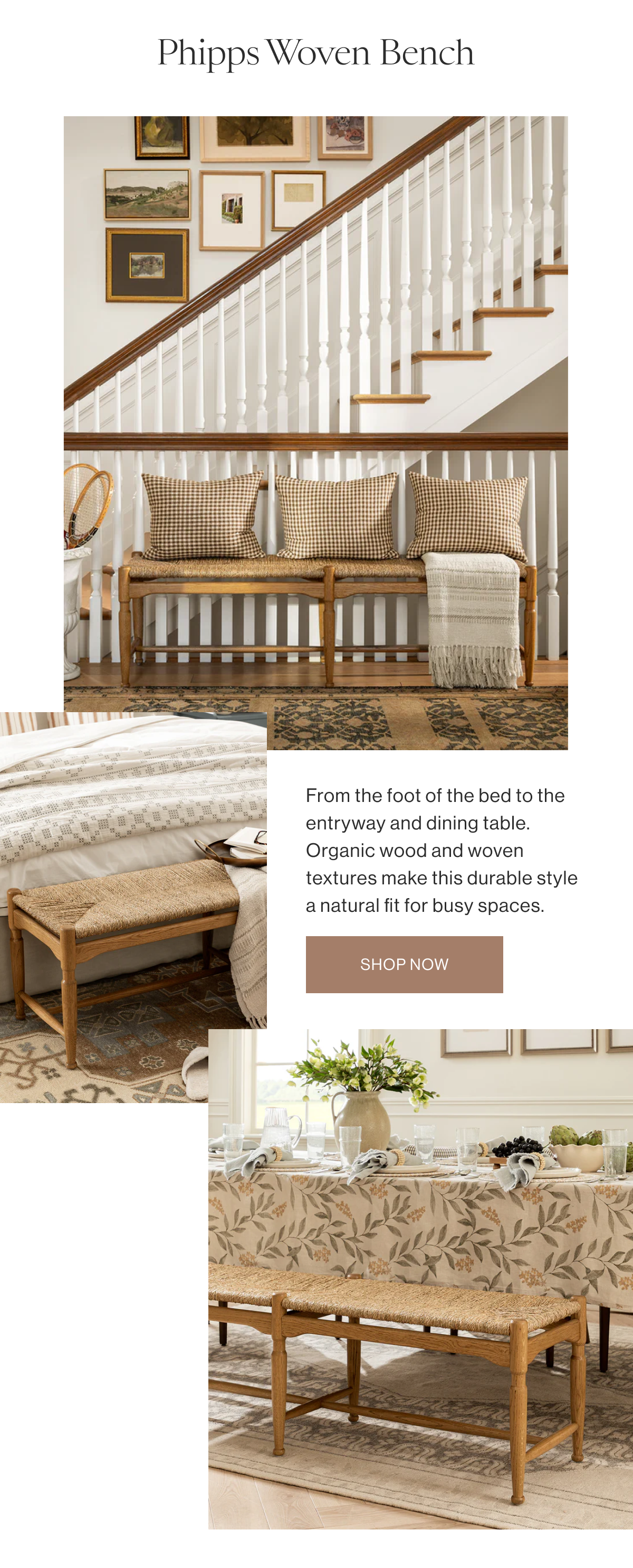 Phipps Woven Bench