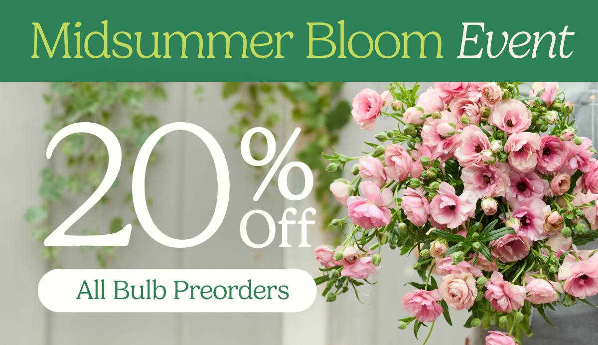 Midsummer Bloom Event – 20% Off All Bulb Preorders