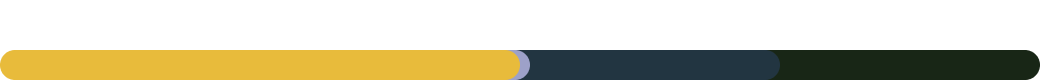 A CARE COMPANY: 2 of 4