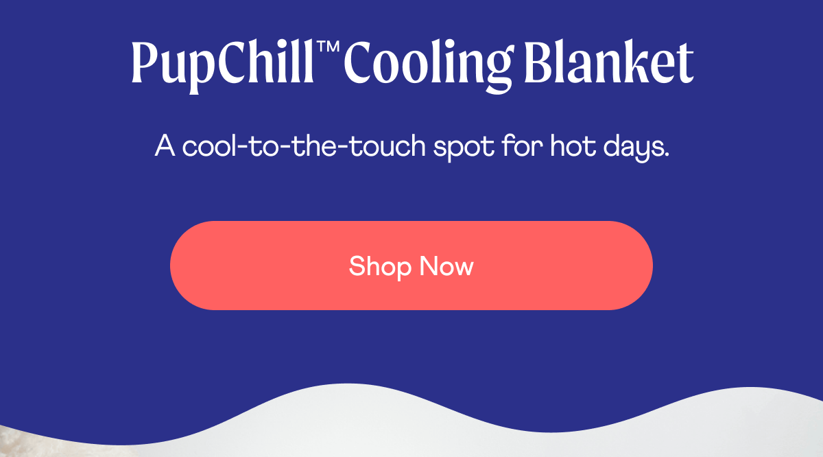 PupChill Cooling Blanket