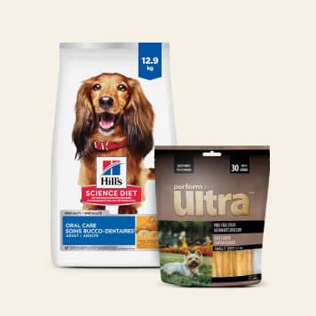 dog food and treats