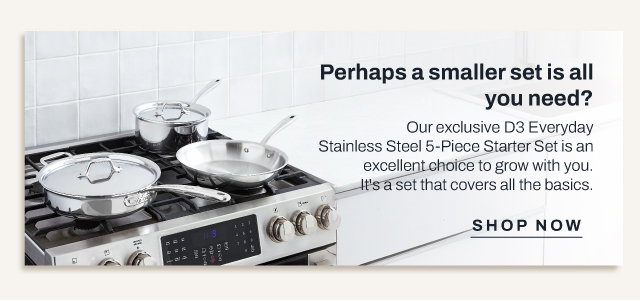 Shop D3 Stainless Everyday 5pc Starter Set
