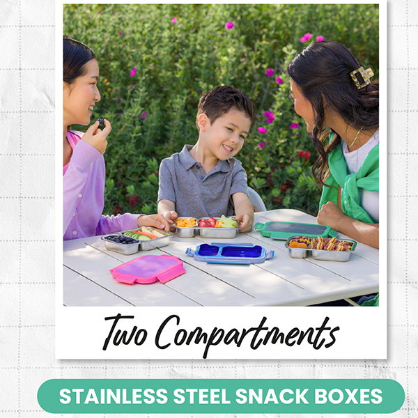 Two Compartments - Stainless Steel Snack Boxes